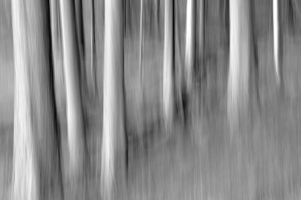 paul_suerth_inmotion.3