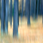Paul Sürth – inmotion IV