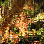 Sven Görlich – Tiergarten II