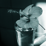 Sven Görlich – tunis 1992